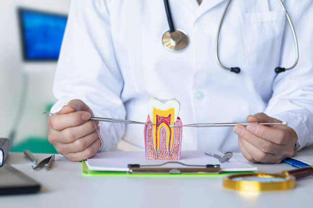 Best Broken or Chipped Tooth Repair in Williamston, MI